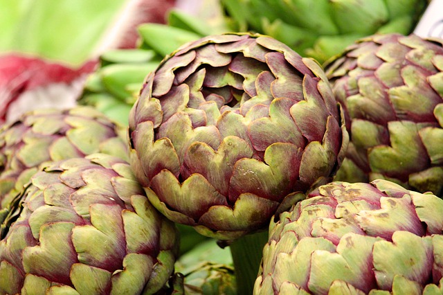Cultivare plante medicinale - anghinare